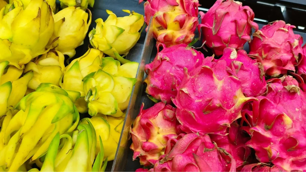 7 Best Dragon Fruit Varieties For the Home Garden