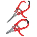 what’s wrong with your azalea?