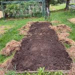 Prep Your Garden Beds for Spring The Garden Glove
