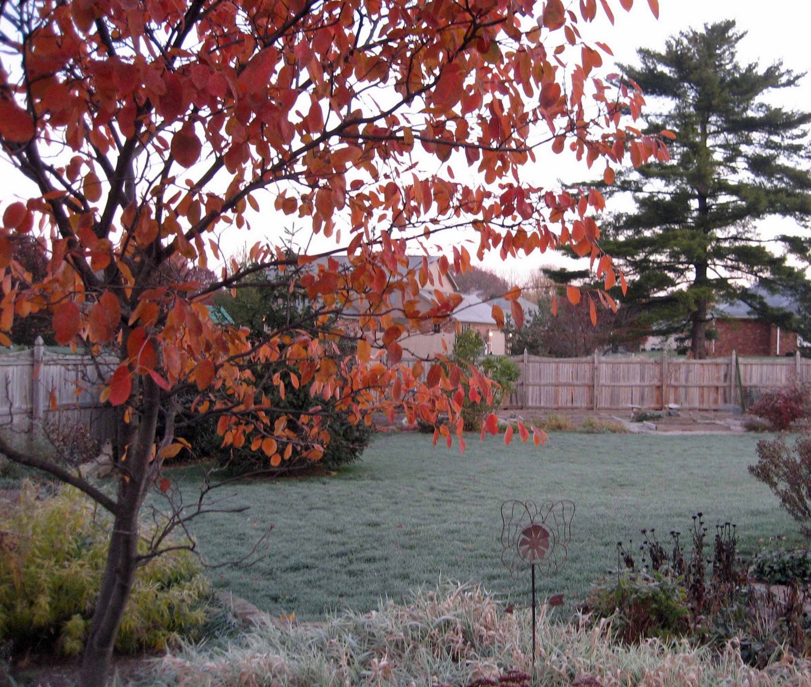 What you do when the first frost of fall arrives tells us a lot about how you garden Carol J. Michel