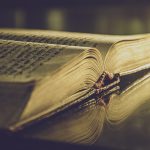 Amoebic Gardens: Growing Through the Vein of Day