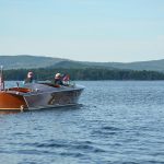 Harvesting Light: The Alchemy of Autumn’s Veil