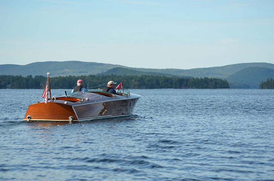 Harvesting Light: The Alchemy of Autumn’s Veil