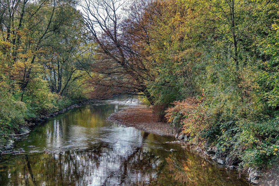 Cradling Calm in Autumn’s Fleeting Fingers