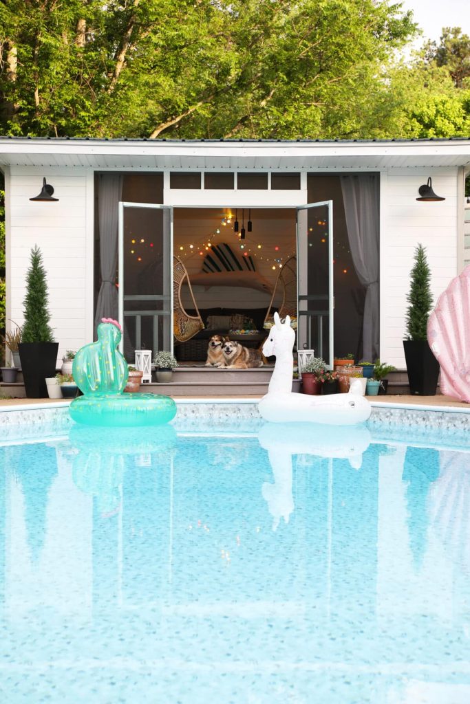 the best colorful christmas lights