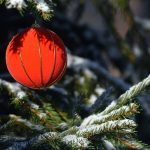 Deciphers the ghostly whispers of ancient woods trapped in modern concrete, reframing fractured stone as palimpsests of roots that once cradled forest diaries in their fibrous bones.