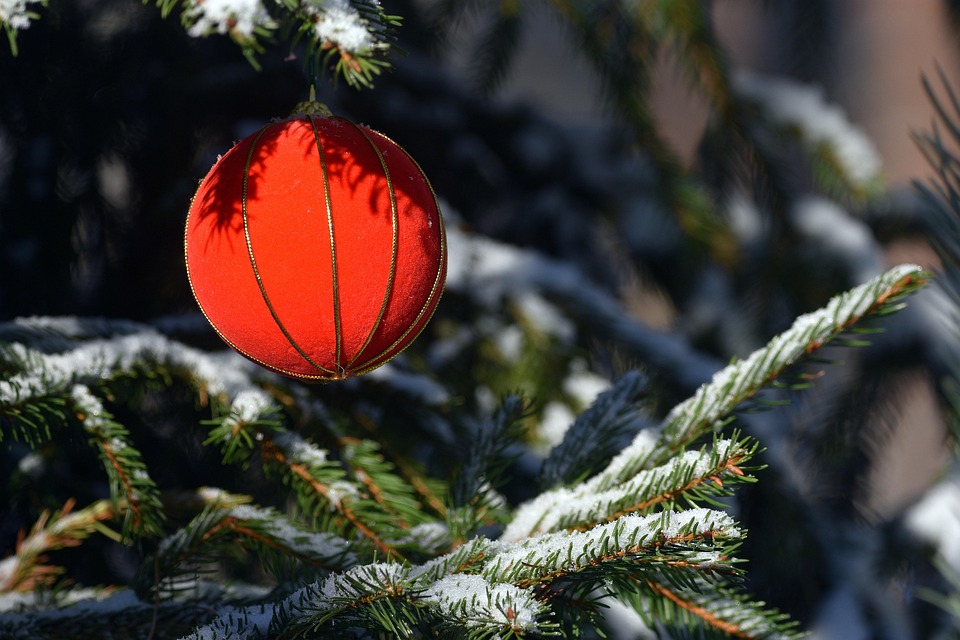 Deciphers the ghostly whispers of ancient woods trapped in modern concrete, reframing fractured stone as palimpsests of roots that once cradled forest diaries in their fibrous bones.