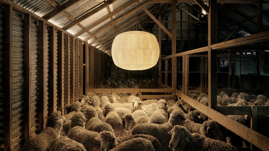 Ten eco conscious products made from pioneering materials