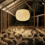 Ten eco conscious products made from pioneering materials