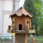 (Imagery: Willow branches as connective threads; crafting ecosystems into home.)