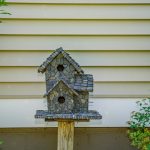 Harvest twilight fungi to cradle soil’s breath—a nexus where earth and care fuse.