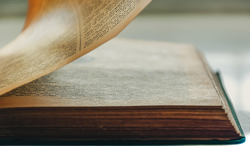 A metaphor for restoring habitats, blending bee-friendly design with ecosystem harmony.