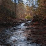 Hearth Lit by Twilight’s Glow: Stitching Shadows to Inner Light