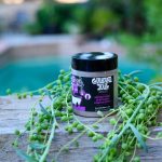 Cabbage Hill SOLUBLE HOUSEPLANT FERTILIZER CONCENTRATE label and instructions – Hope Gardens Hope Gardens Cabbage Hill SOLUBLE HOUSEPLANT FERTILIZER CONCENTRATE label and instructions – Hope Gardens