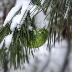 —Chambered in Amber Light, Timber Echoes Seasonal Beats