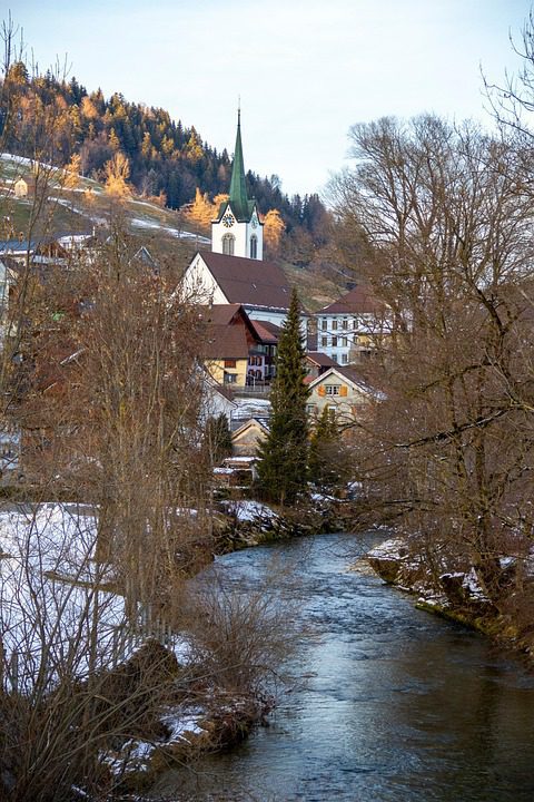 Beneath the canopy, moss becomes a metaphor for patience.
