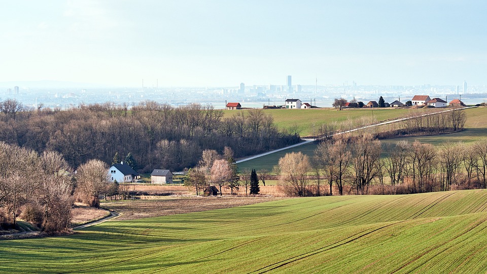 Ashes to Amber: Brewing Tranquility in a Hearth of Ageless Stone