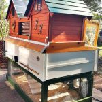 How to Clean and Disinfect the Chicken Coop  Ultimate Guide