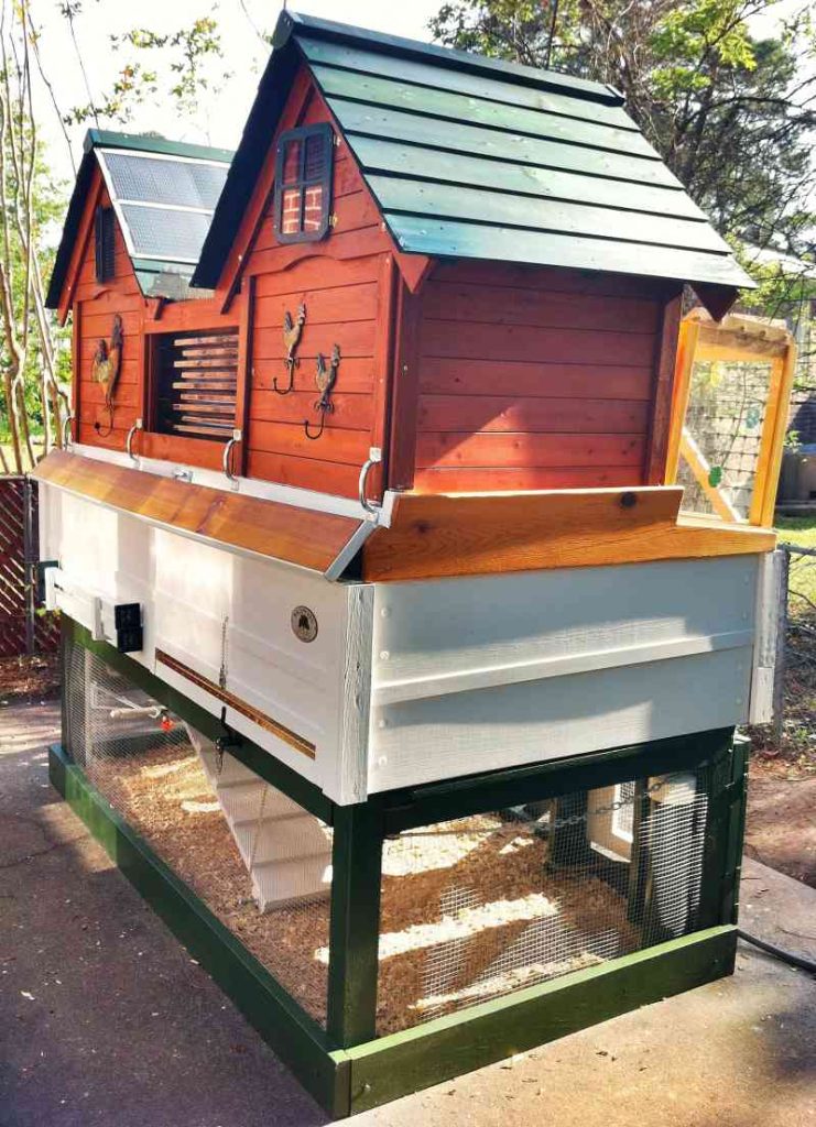 How to Clean and Disinfect the Chicken Coop  Ultimate Guide