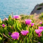 15 Types of Flowers for Coastal Gardens