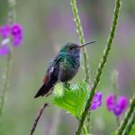 (Embracing rhythms of water and light for peaceful routines.)