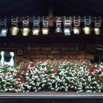 1. Poetic Guide to Cultivating a Sanctuary Beneath Moonlit Lanterns