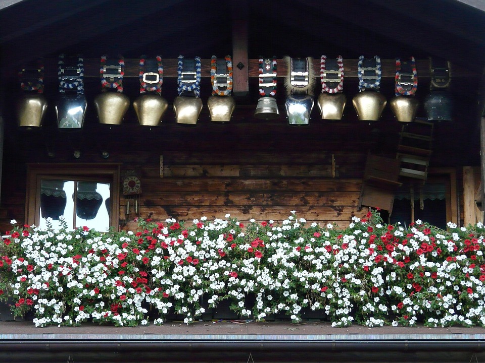 1. Poetic Guide to Cultivating a Sanctuary Beneath Moonlit Lanterns