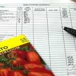 How to Create a Seed Starting Schedule for Your Vegetable Garden