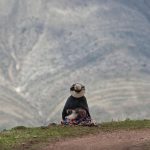 Willows’ Lament Spin Black as Moon