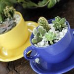 Brew shadow and stone into windborne cups, letting earth’s slow sighs shape joy.