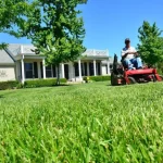 When To Cut Grass After Overseeding