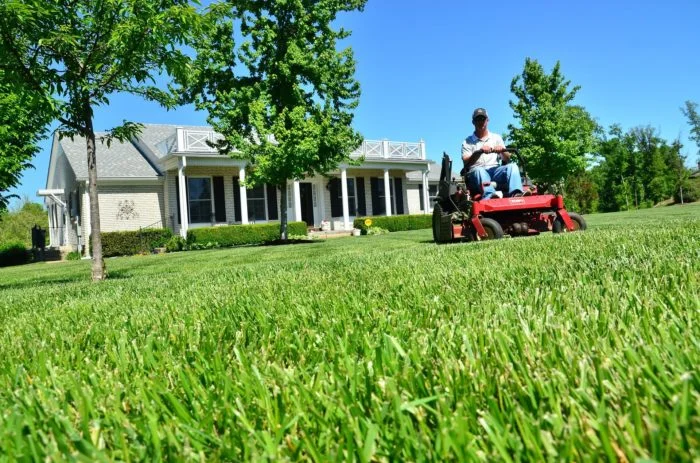 When To Cut Grass After Overseeding