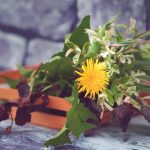 Moss Bloom Sanctuary: Designing Rooms Where Soil and Soul Speak