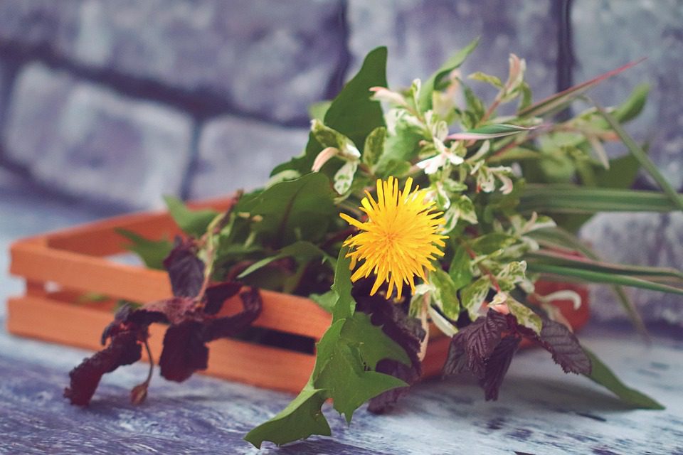 Moss Bloom Sanctuary: Designing Rooms Where Soil and Soul Speak