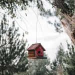 Forested Horizon: Building a Refuge Where Twilight and Timber Dance