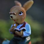 Seasonal Ritual: When Frost Clings—Decorating with Winter’s Intimate Bloom