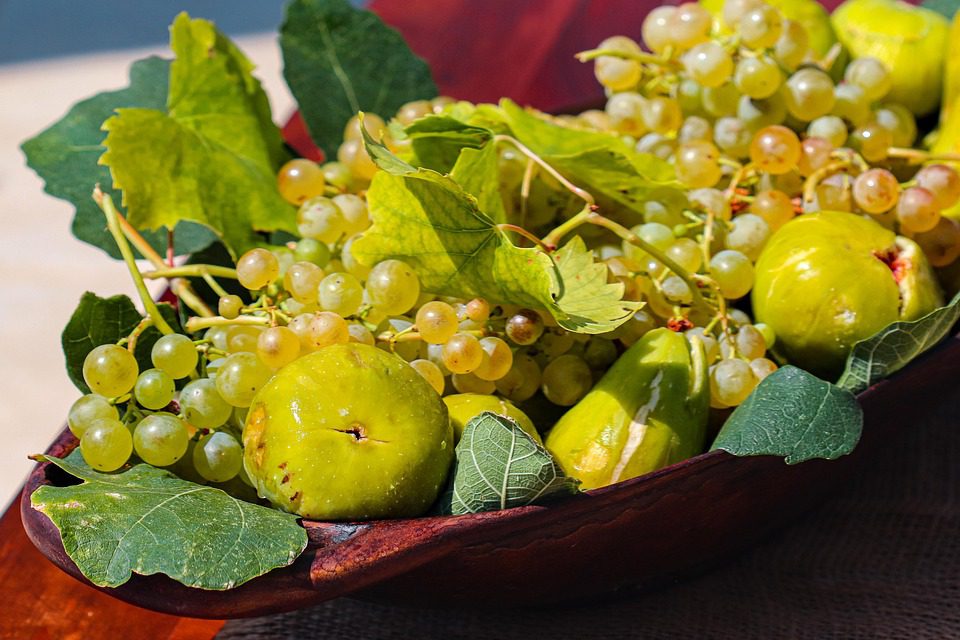 — Grounds the reader in the earth’s cycles, evoking resilience and harmony with nature’s rhythms.