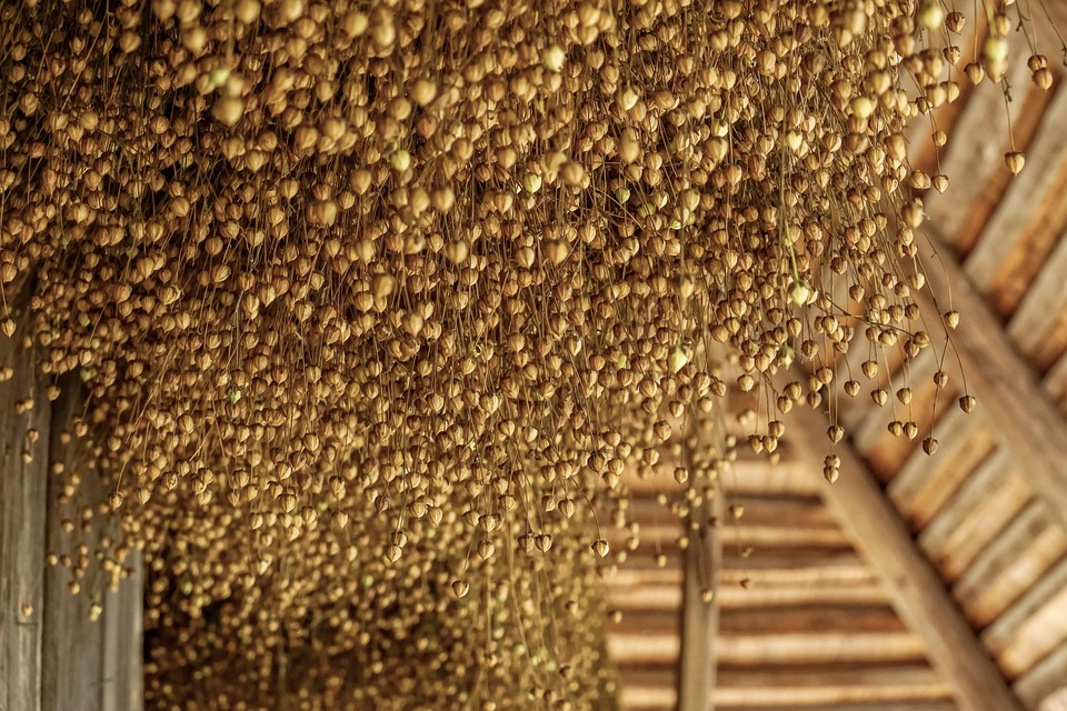 Quiet Roots, Deep Resonance: Crafting a Sanctuary with Foraged Treasures