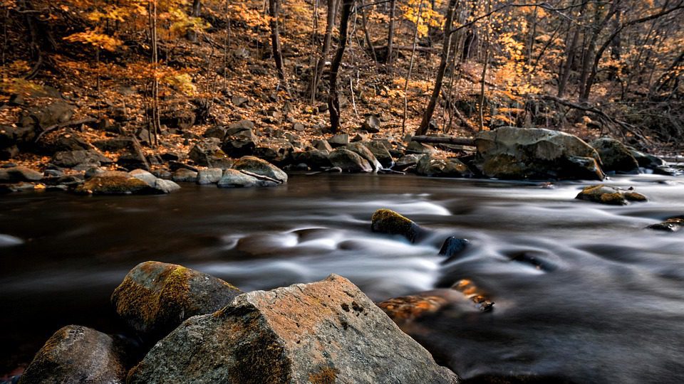 Where roots and rhythm co-author a sanctuary for slowing down.