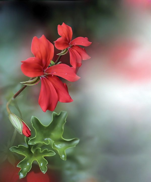 Autumn’s Soul in the Hearth: Crafting Sacred Stillness at Home