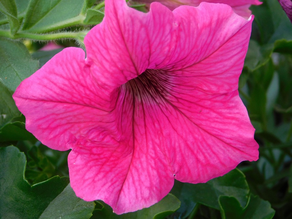 Top 5 Sanctuaries for Tiny Green Worlds: A Love Letter to Miniature Oases