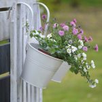 Symbolic Essay: The Secret Language of Drooping Leaves Whispered to Dawn