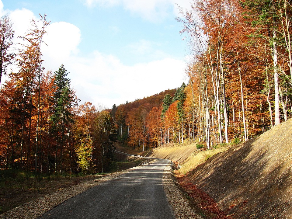 Moonlit Crossroads: Paths to Peace in Homes Where Stillness Speaks