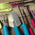 Garden Buddies Live from Tiger’s Backyard [11.1.25]