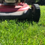 What to do with grass clippings