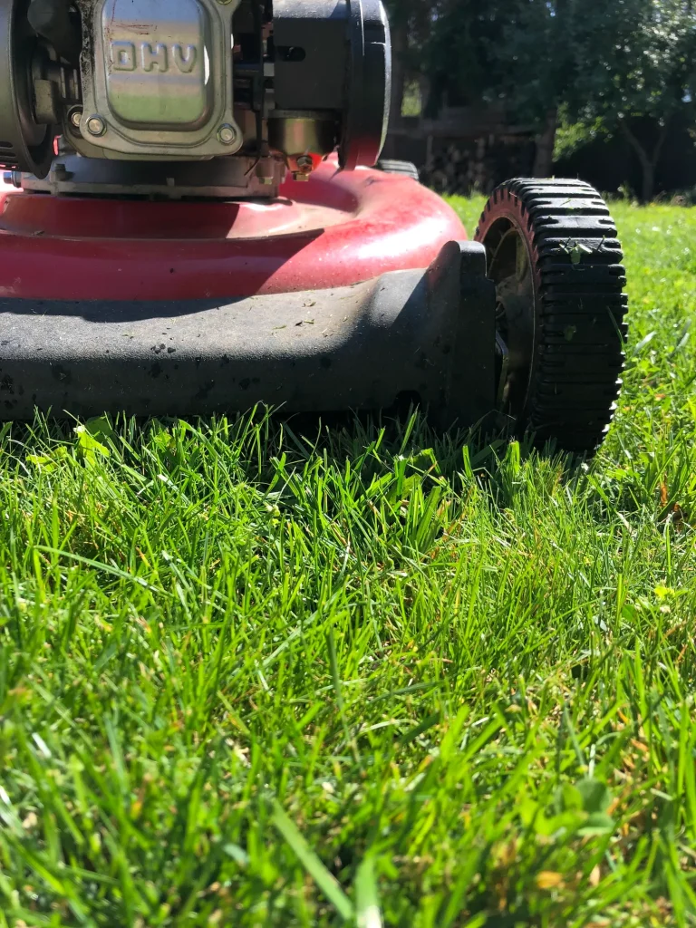 What to do with grass clippings