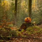 Autumn’s Breath and Evergreen Walls: Forging a Haven of Calm