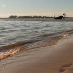 Exploring the poetry of impermanence through the silent language of winter’s breath and the strength etched in gnarled branches.