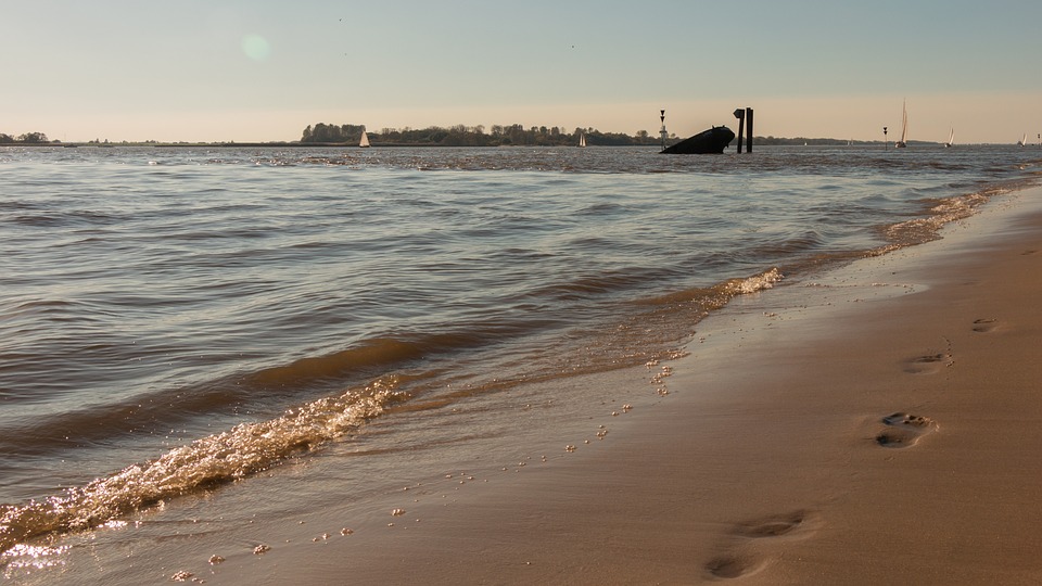 Exploring the poetry of impermanence through the silent language of winter’s breath and the strength etched in gnarled branches.