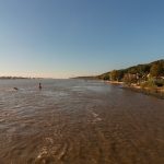 Practical methods to create living, low-impact wall accents that embrace seasonal decay into fertile renewal.